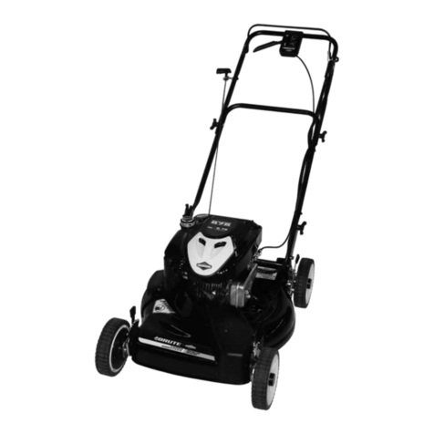 Briggs & Stratton BRUTE BTPV22675E Operation and maintenance manual Briggs & Stratton BRUTE BTPV22675E Operation and maintenance manual