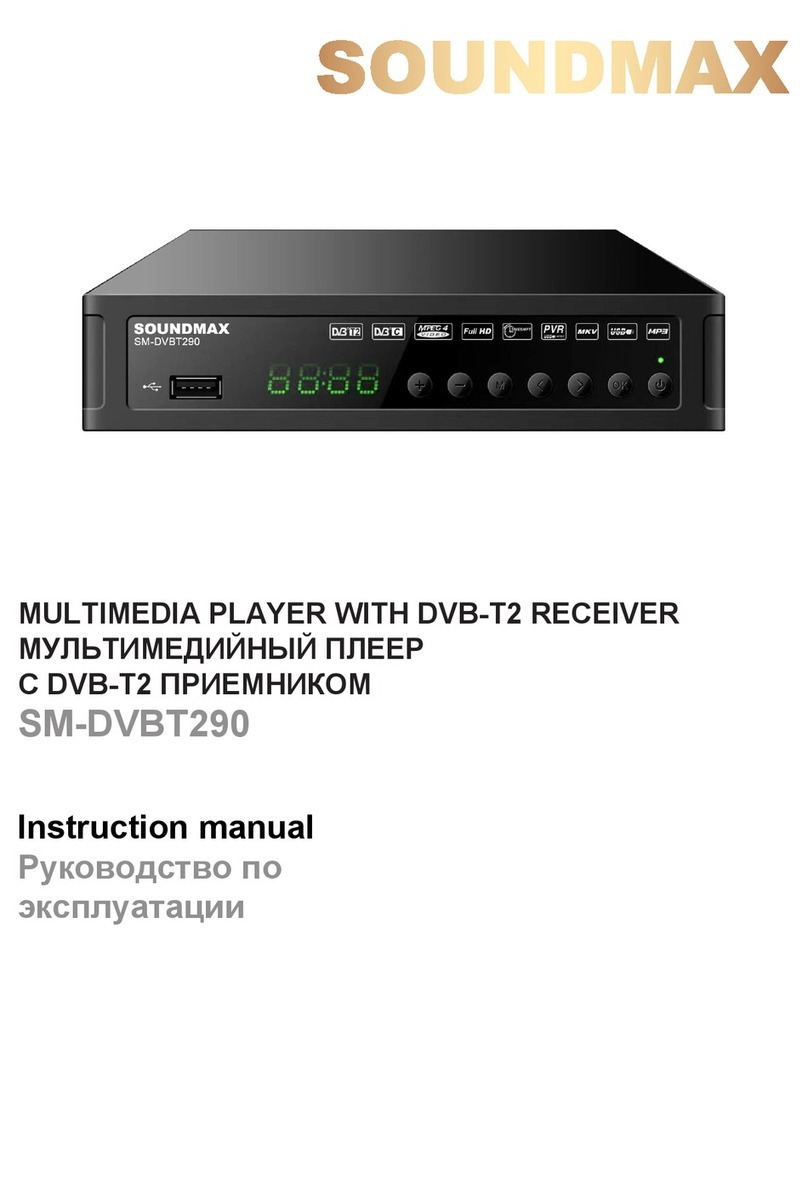 SoundMax SM-DVBT290 instruction manual
