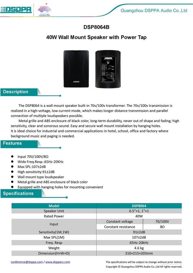 DSPPA DSP8064B User manual