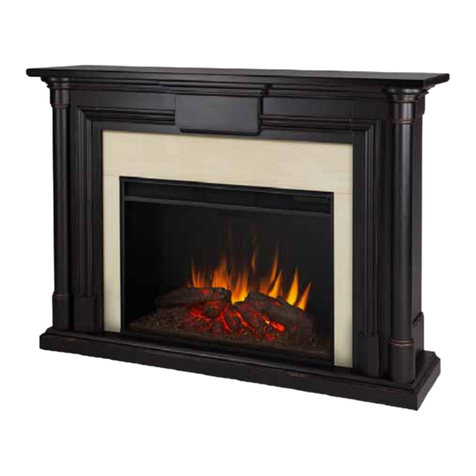 RealFlame 8030 User manual