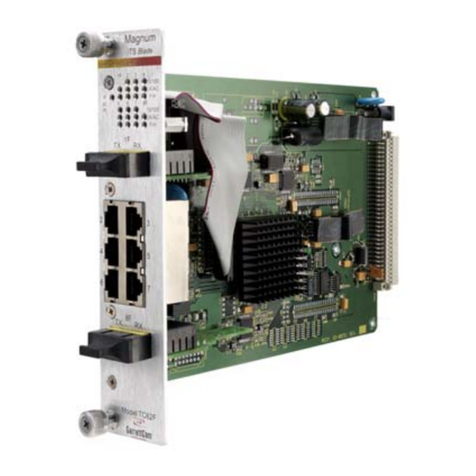 GarrettCom Magnum ITS Blade Installation and user guide