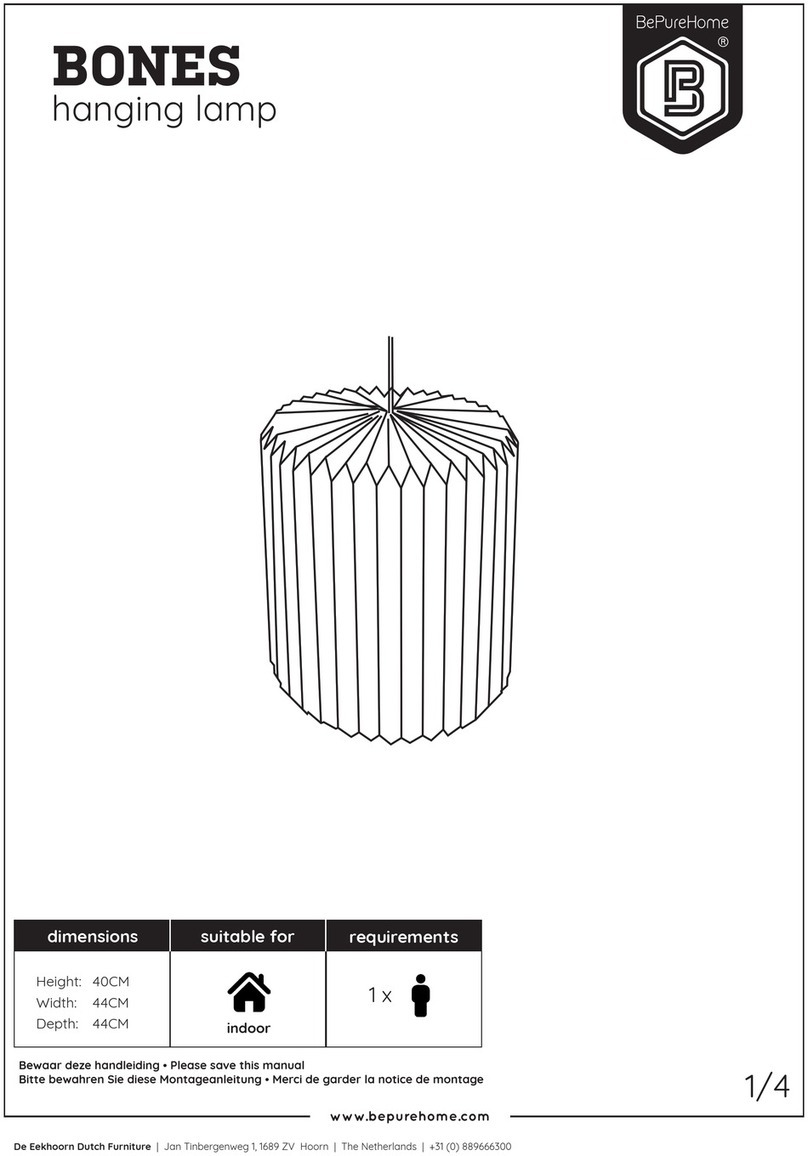 BePureHome BONES quick start guide