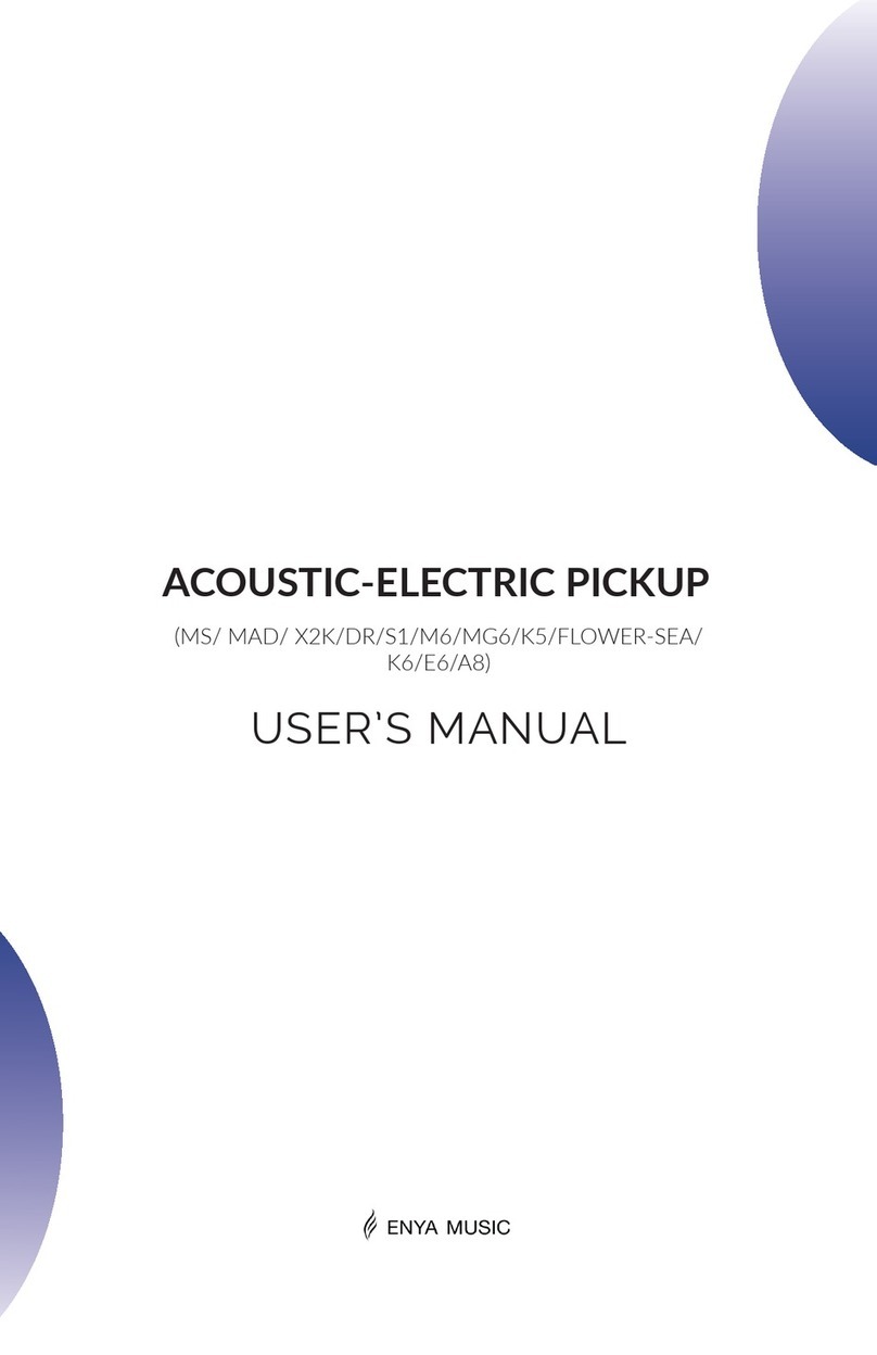 ENYA MUSIC MS user manual