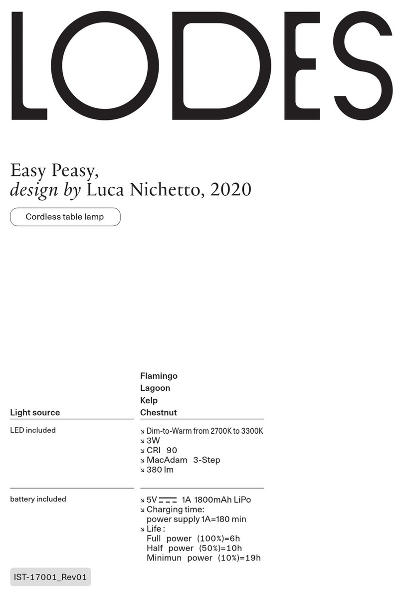 Lodes Easy Peasy User manual