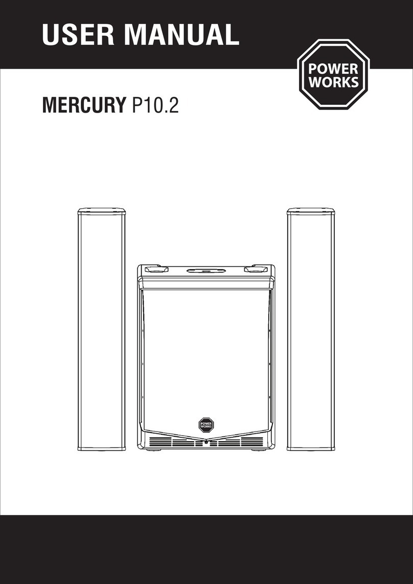 Power works MERCURY P10.2 user manual