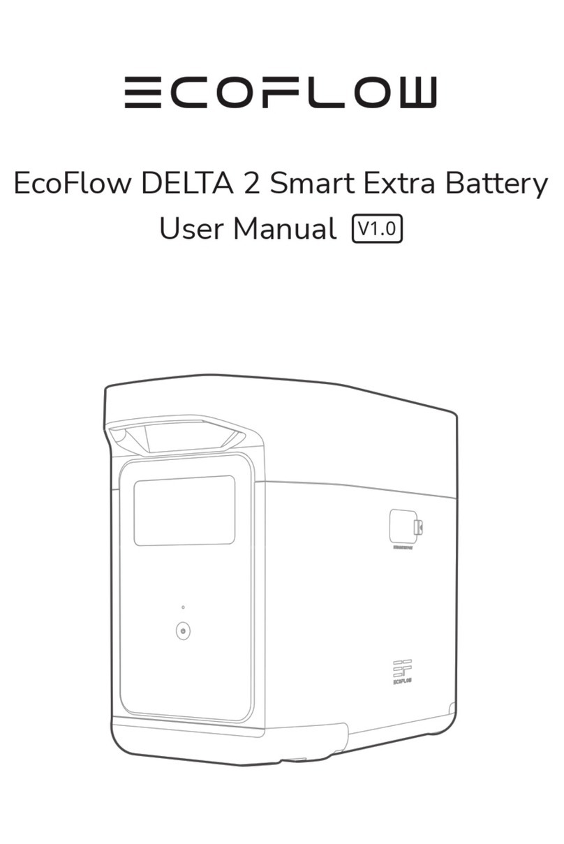 EcoFlow DELTA 2 user manual