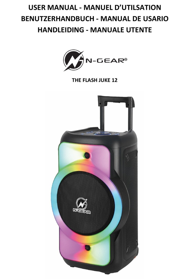 N-Gear THE FLASH JUKE 12 user manual