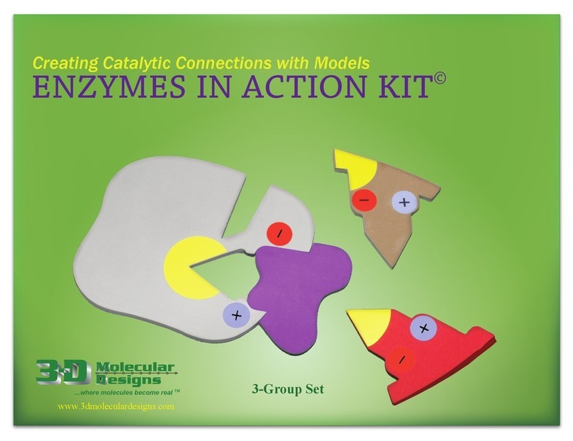 3D Molecular Designs ENZYMES IN ACTION KIT 3-Group Set manual