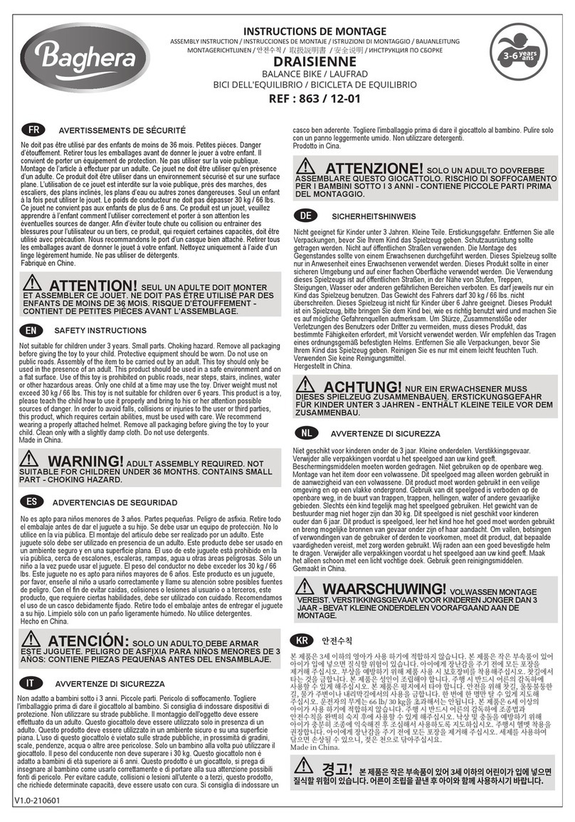 Baghera 863 Assembly instruction