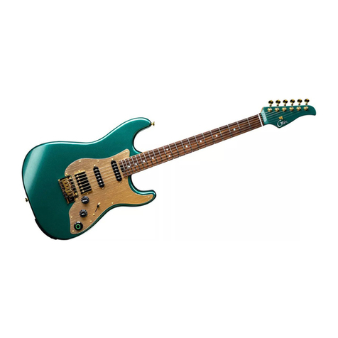 GTRS INTELLIGENT GUITAR W900 owner's manual