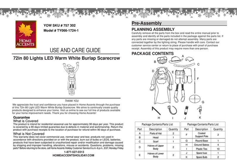 Home Accents TY066-1724-1 User manual