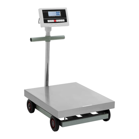 Steinberg Systems SBS-PF-600/100N user manual