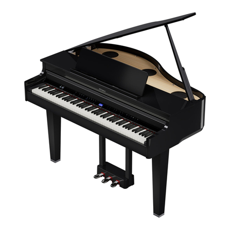 Roland GP-6 User manual