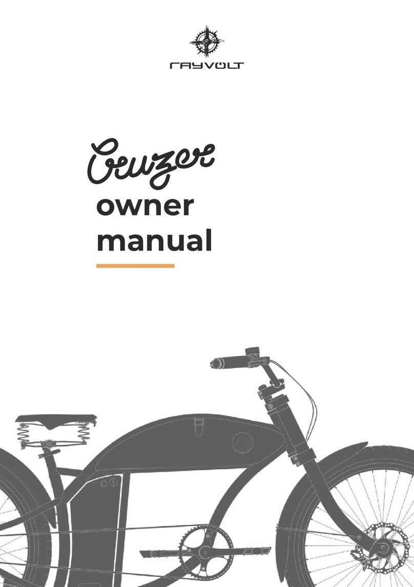 RAYVOLT Cruzer owner's manual