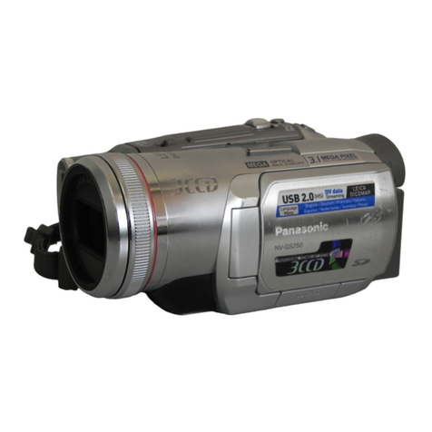 Panasonic NV-GS250EB User manual