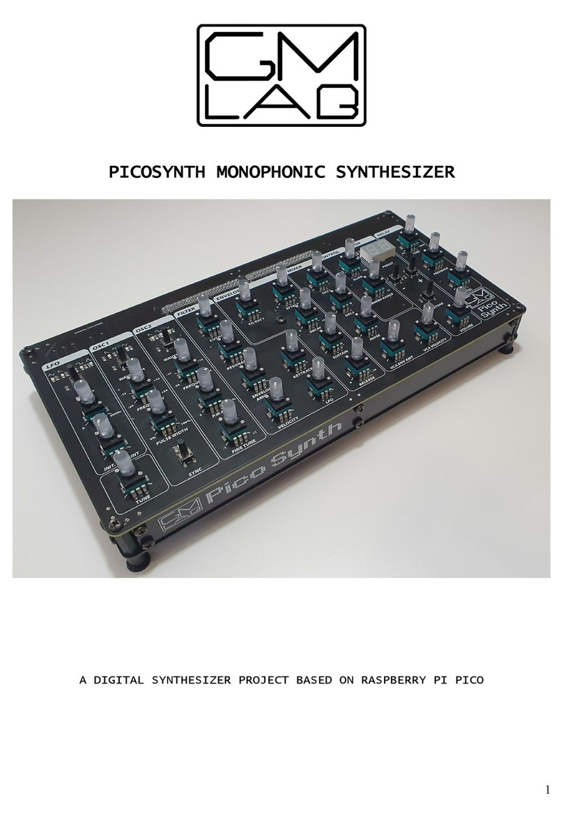 GM LAB PICOSYNTH manual