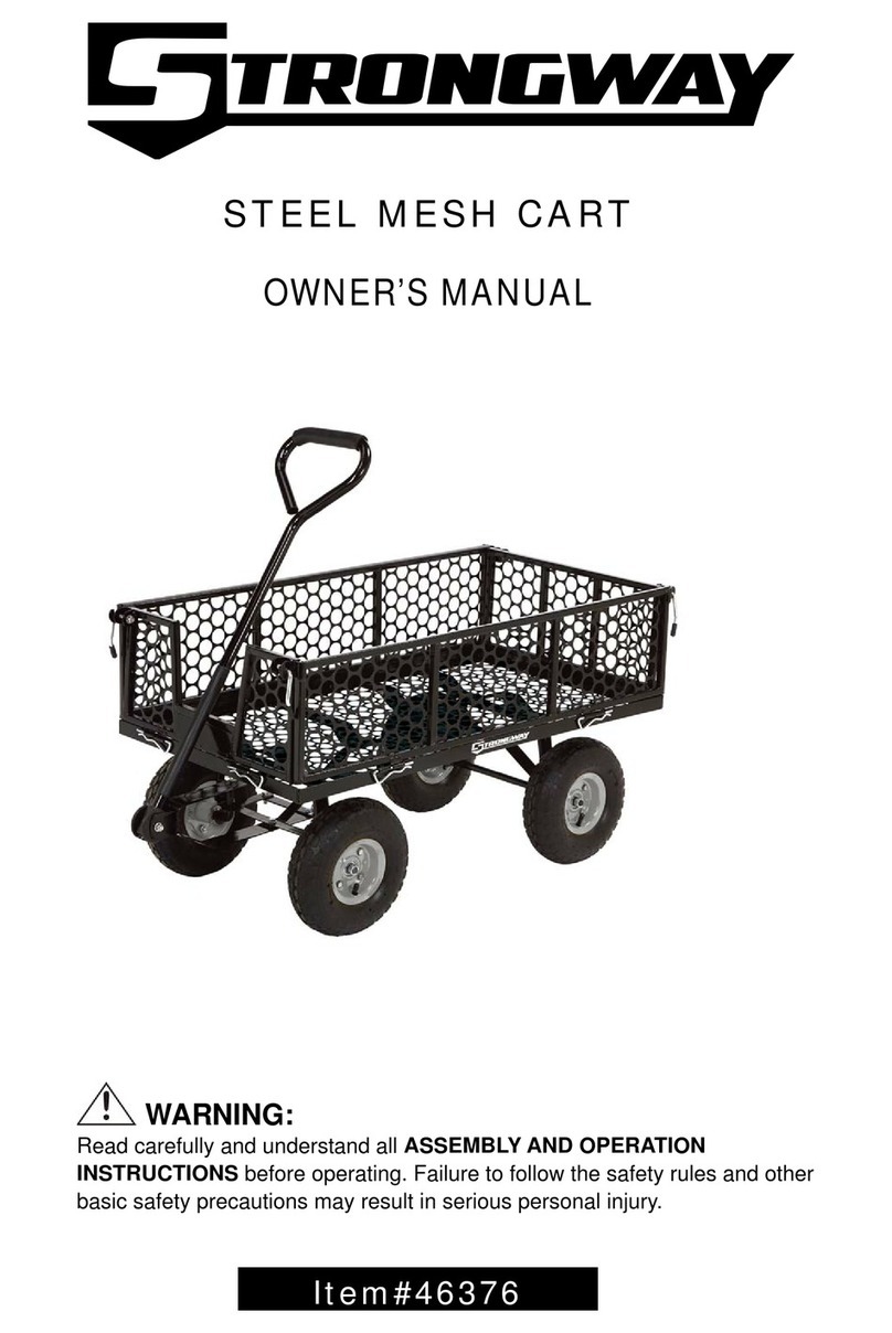 Strongway 46376 owner's manual