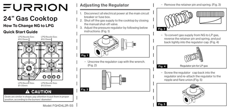 Furrion FGHD4L2R-SS quick start guide