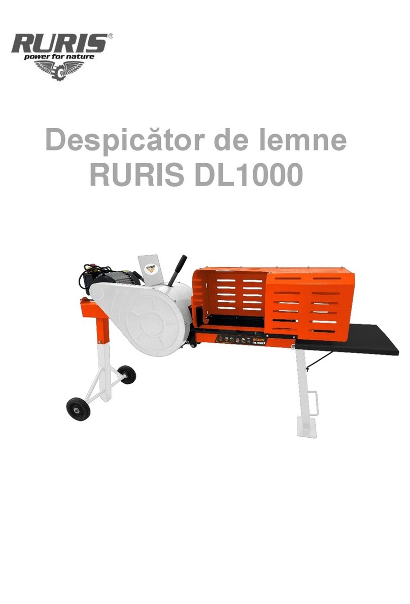 Ruris DL1000 manual