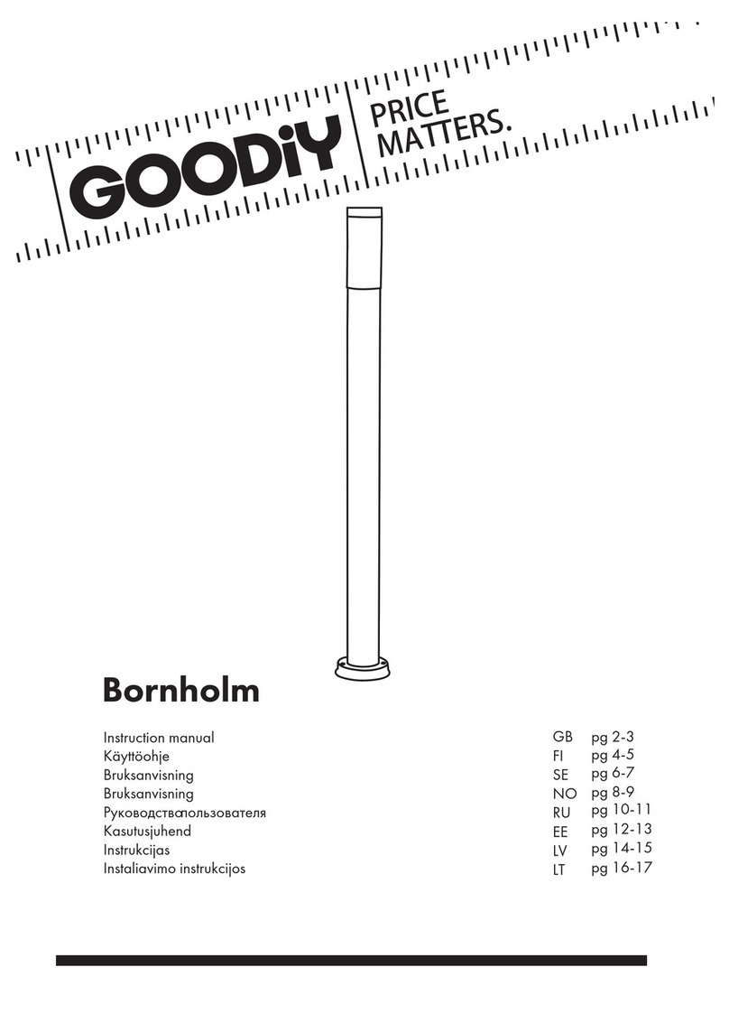 Goodiy Bornholm DH021 instruction manual