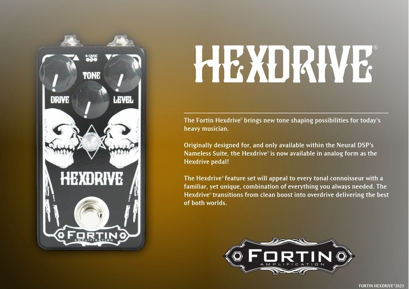 Fortin Amplification HEXDRIVE Setting instructions