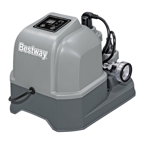 Bestway FLOWCLEAR 58677 User manual