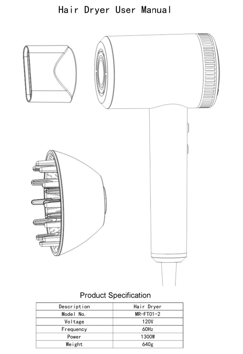 Meritac Technologies MR-FT01-2 user manual