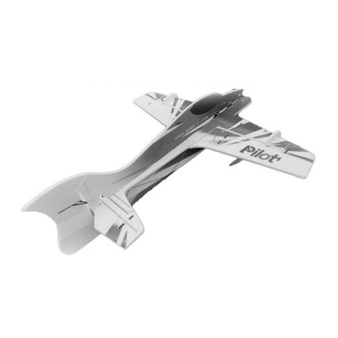 Pilot RC Foamy User manual Pilot RC Foamy User manual