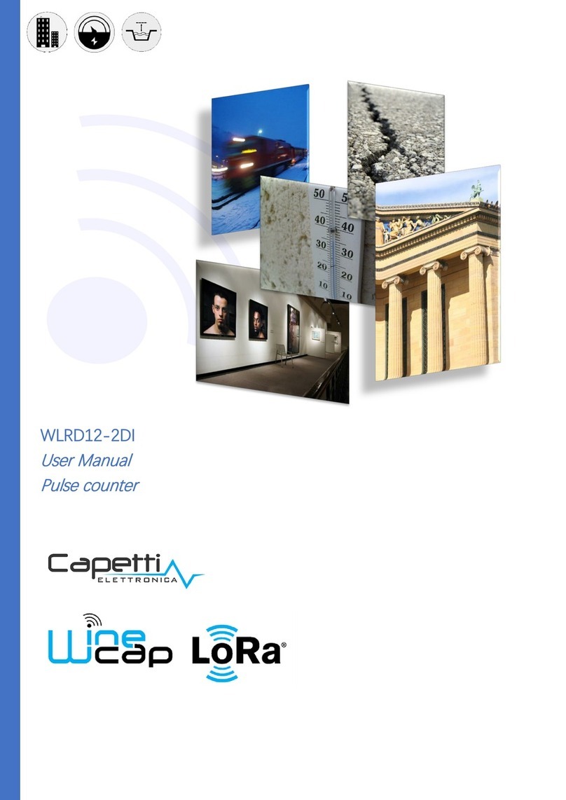 Capetti Elettronica WLRD12-2DI user manual