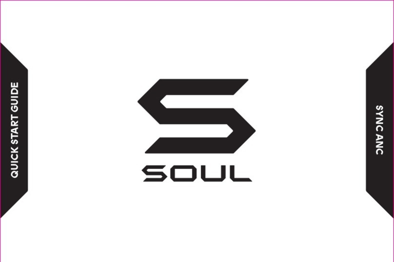 Soul SYNC ANC User manual
