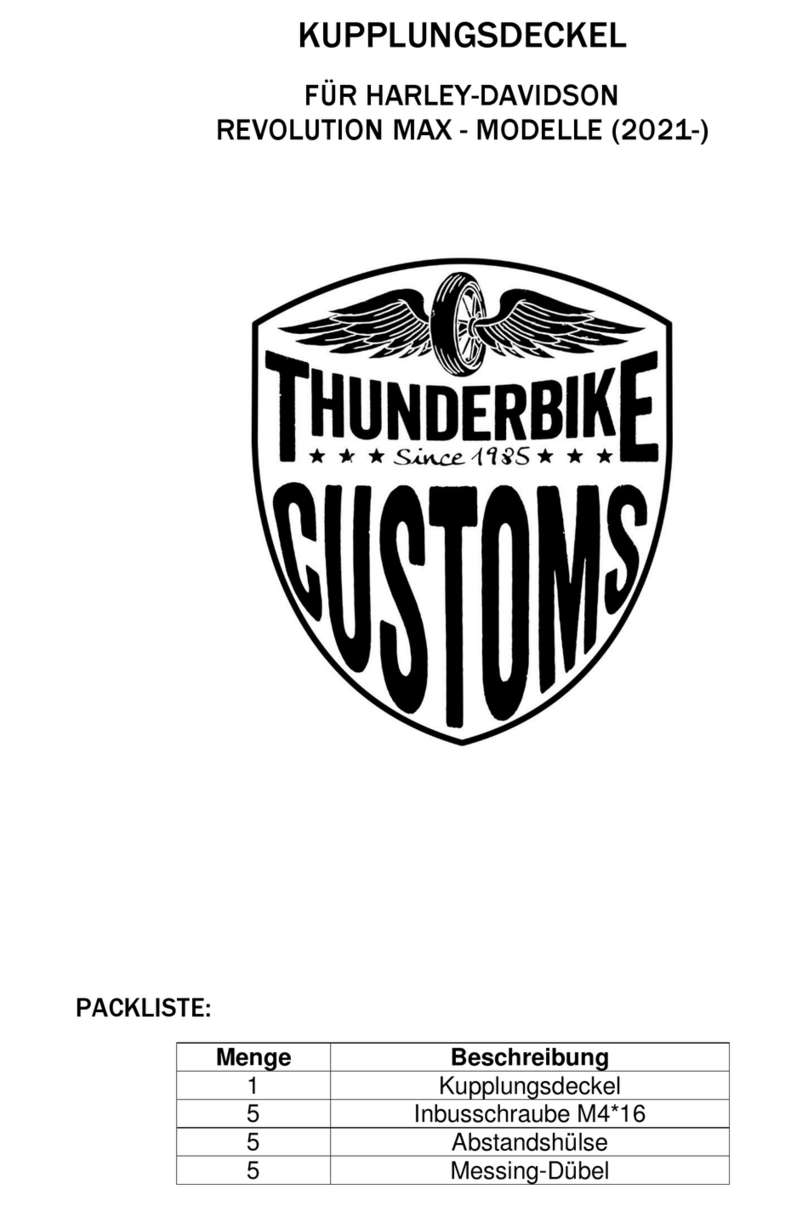 Thunderbike SP-S manual