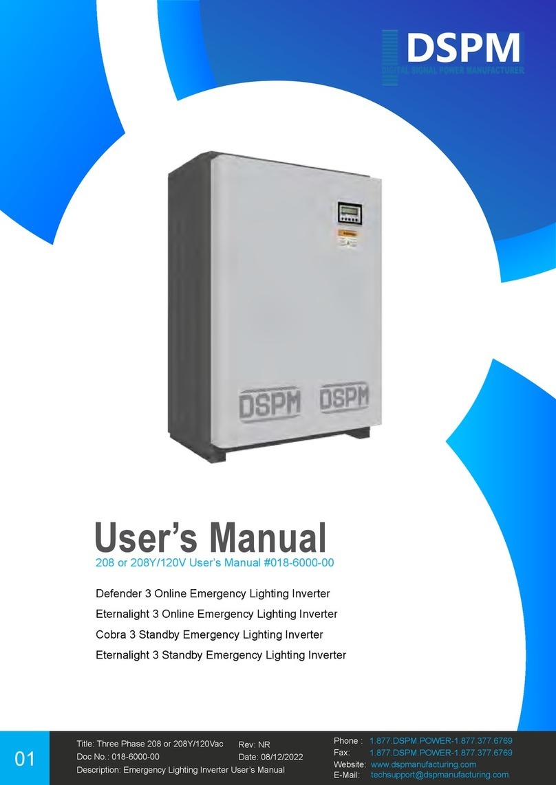 DSPM Defender 3 User manual