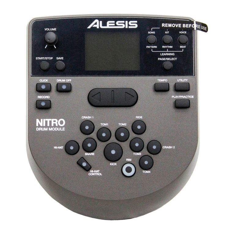 Alesis Nitro User manual