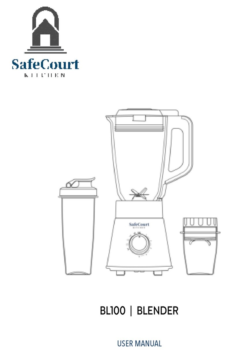SafeCourt BL100 user manual