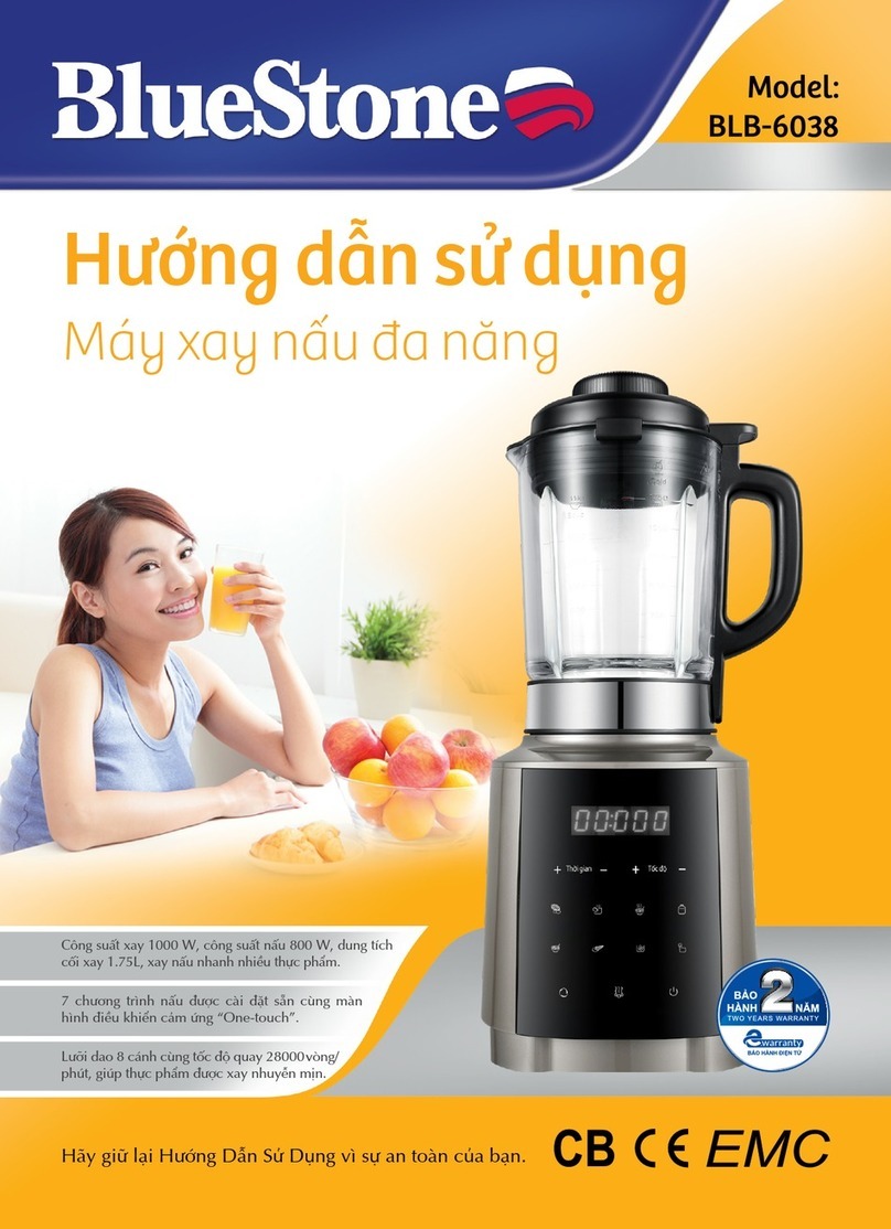 BLUE STONE BLB-6038 user manual