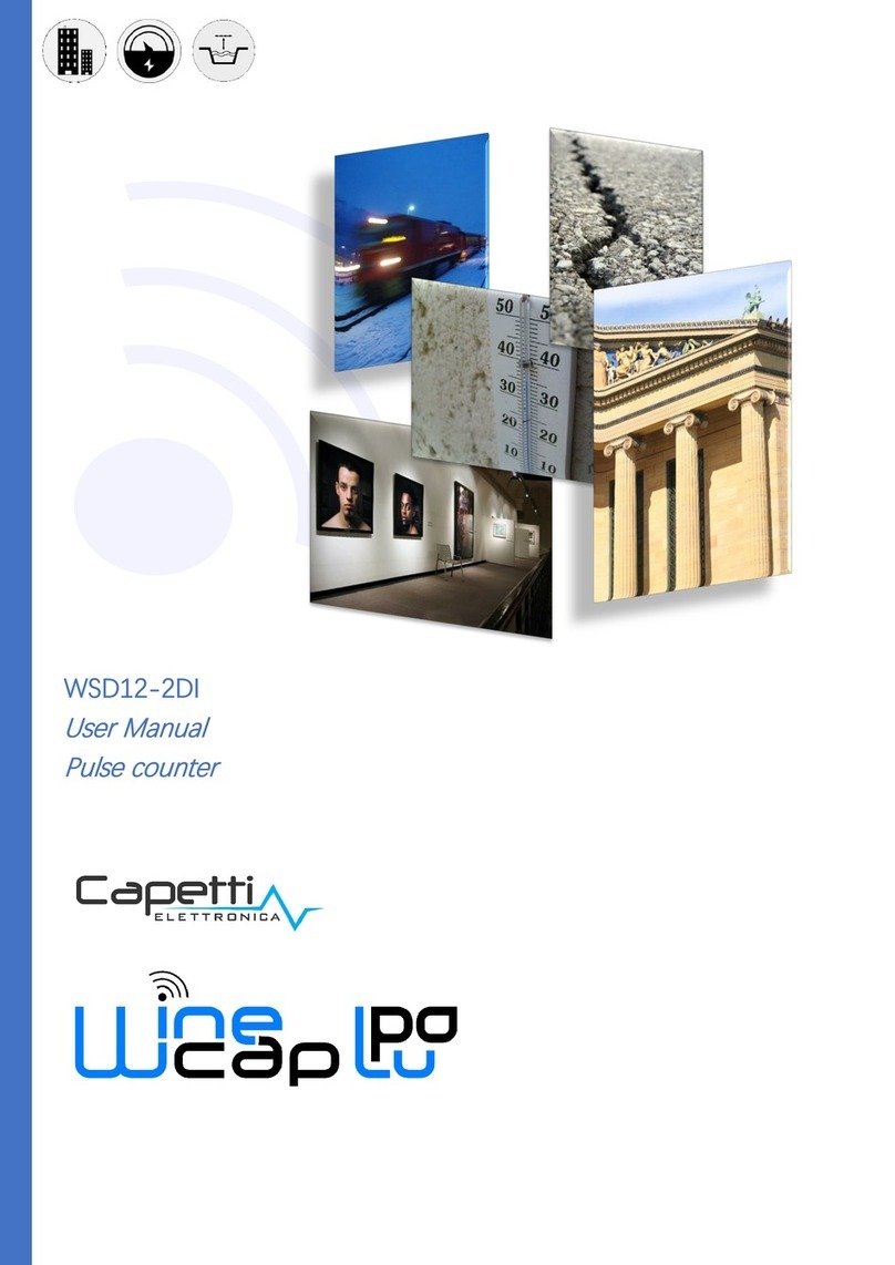 Capetti Elettronica WineCap WSD12-2DI user manual