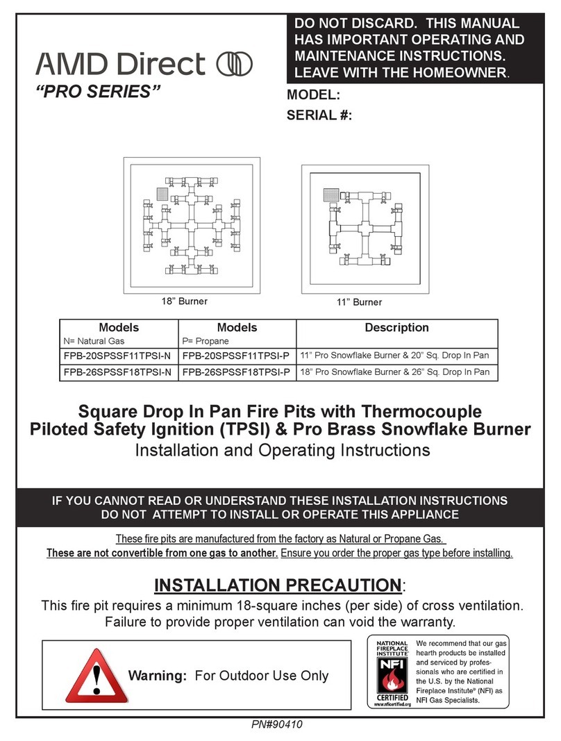 AMD DIrect Pro Series User manual