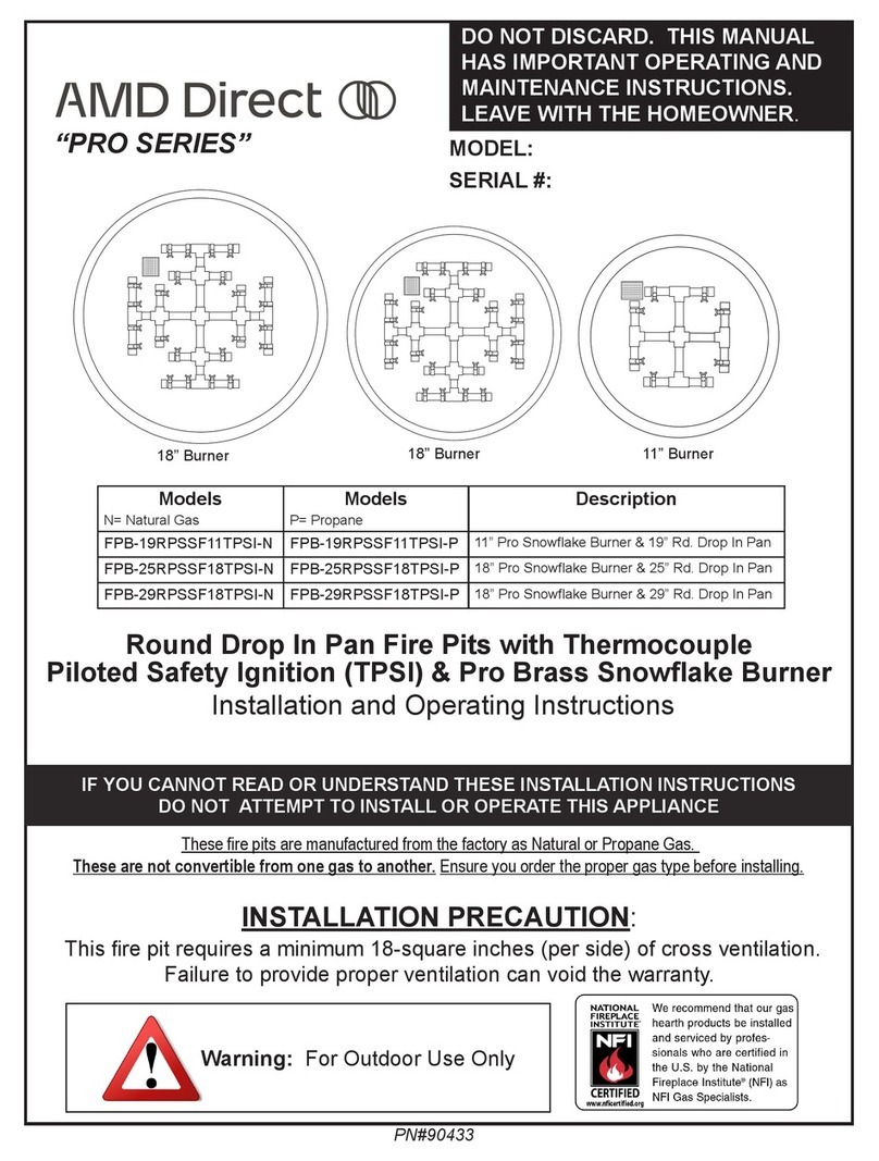 AMD DIrect Pro Series User manual