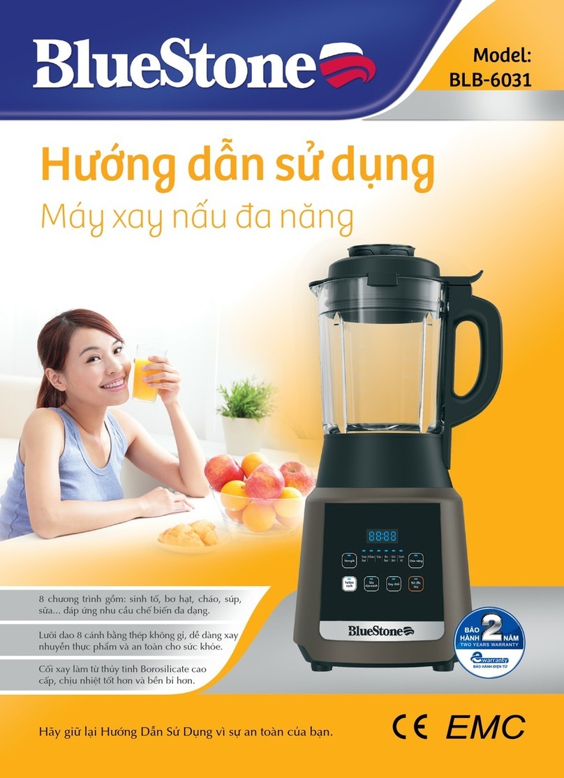 BLUE STONE BLB-6031 user manual