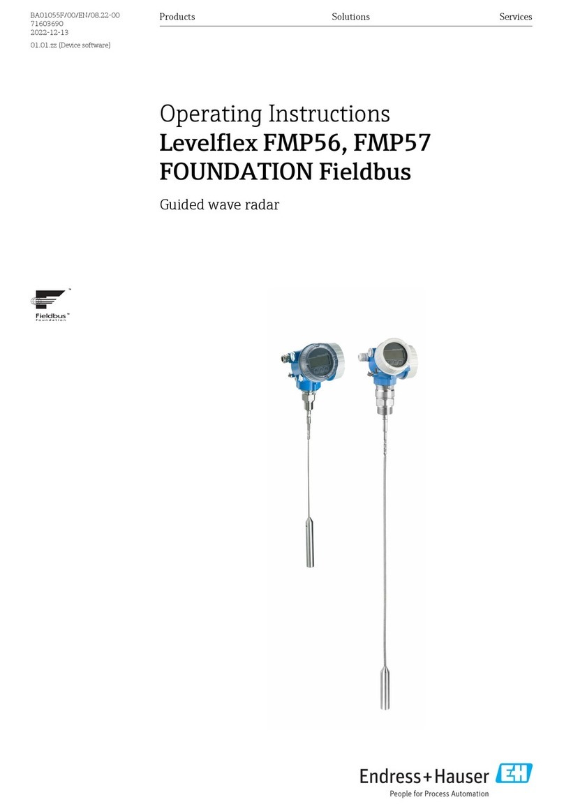 Endress+Hauser Levelflex FMP56 User manual
