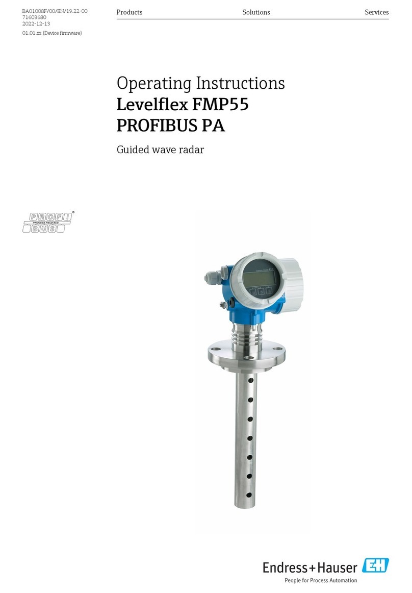 Endress+Hauser Levelflex FMP55 User manual