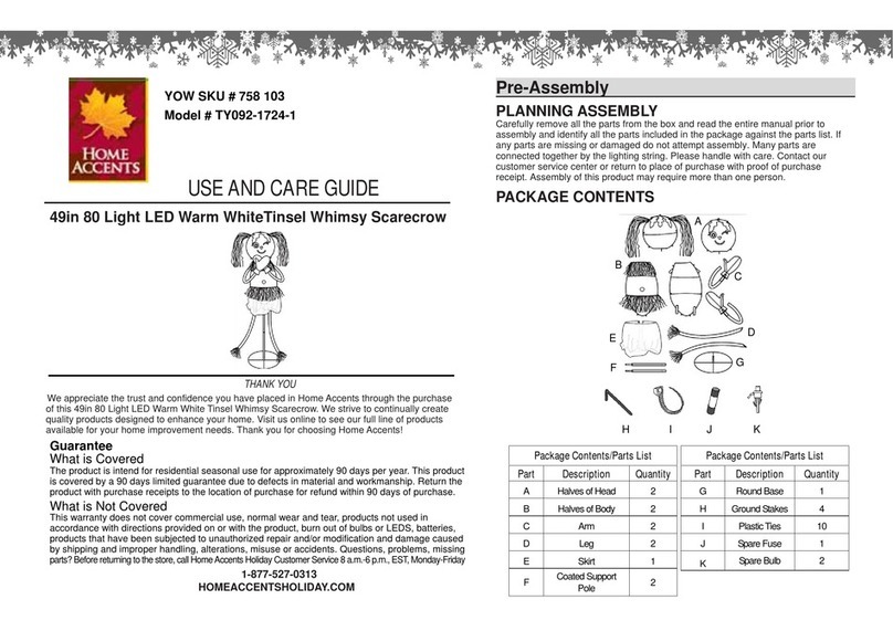 Home Accents TY092-1724-1 Use and care guide Home Accents TY092-1724-1 Use and care guide