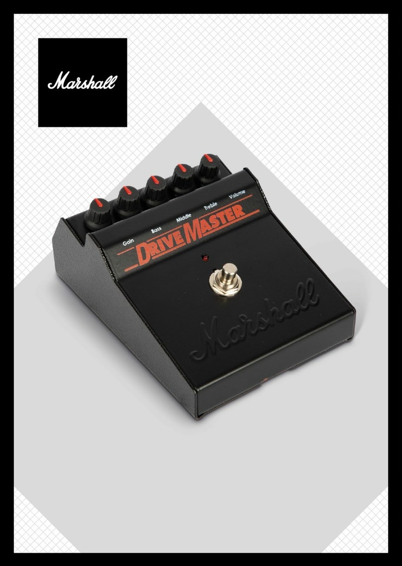 Marshall Amplification DRIVEMASTER User manual