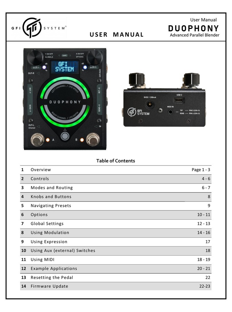 GFI System DUOPHONY user manual