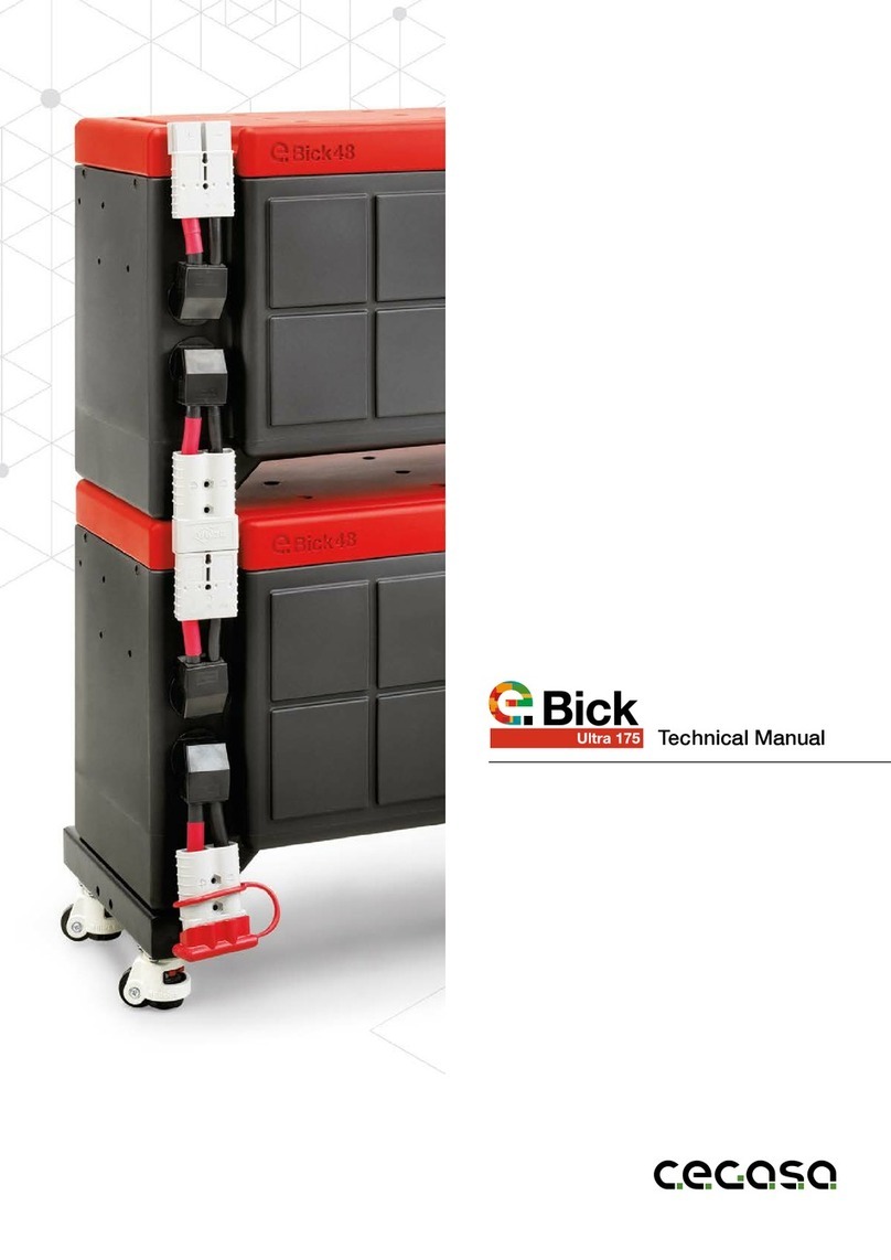 Cegasa eBick ULTRA 100C Technical manual