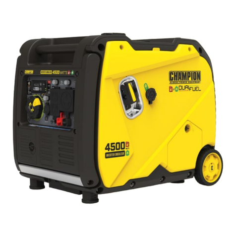 Champion Global Power Equipment 201228 User manual