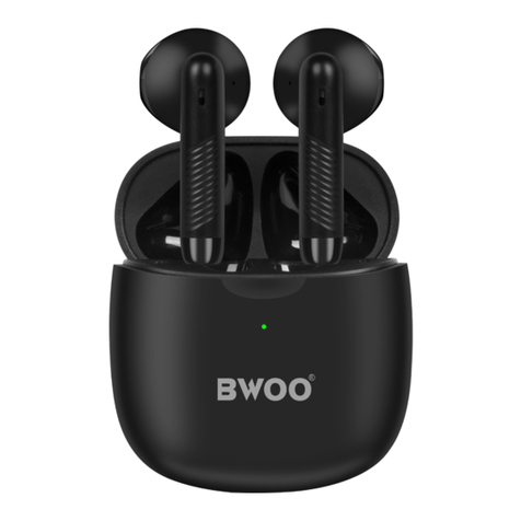 BWO BW100 manual
