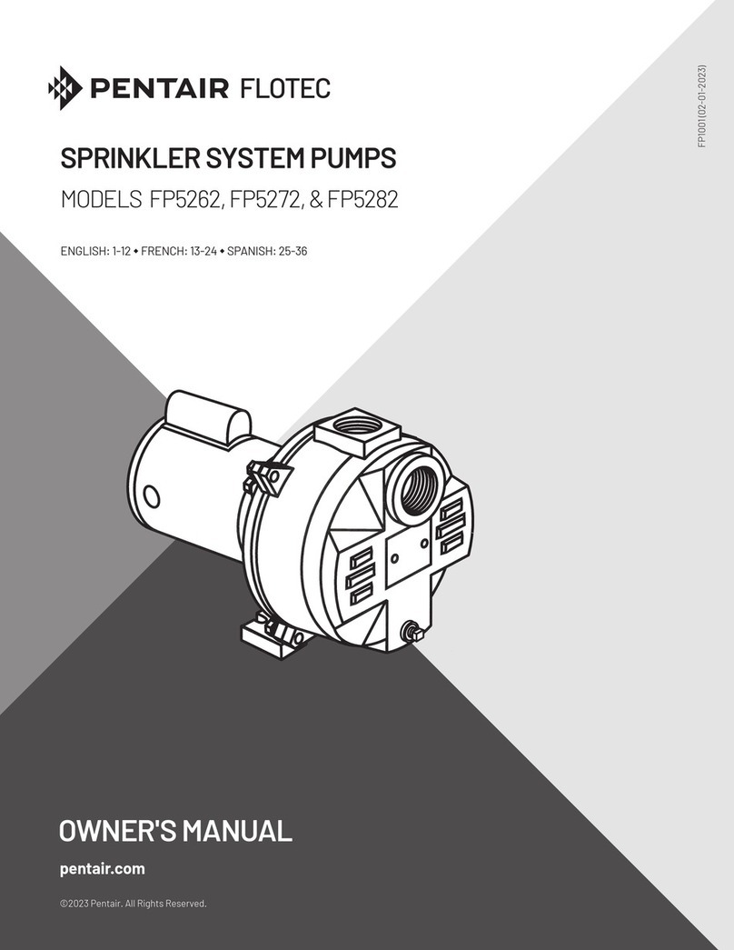 Pentair Flotec FP5262 User manual
