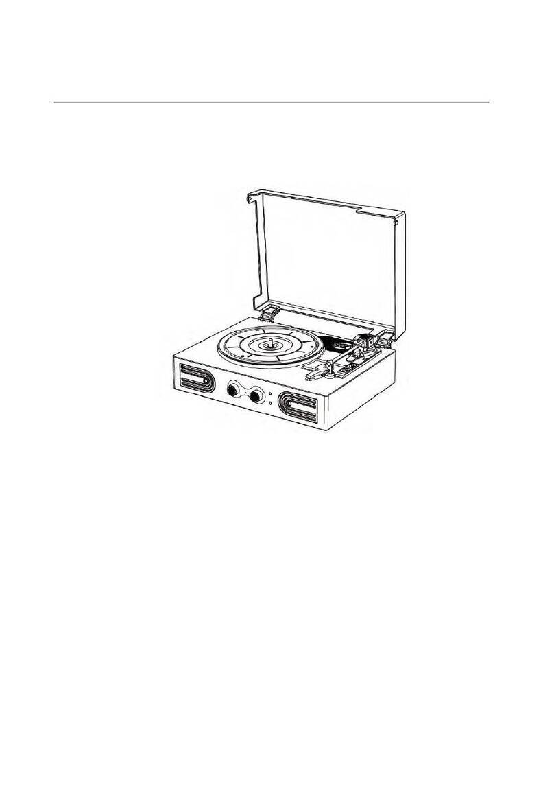 DANFI AUDIO TE-2030 instruction manual
