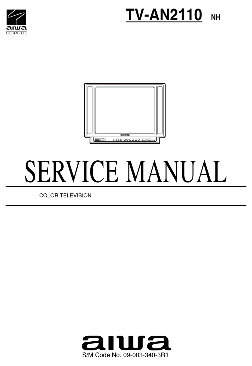 Aiwa TV-AN2110 User manual
